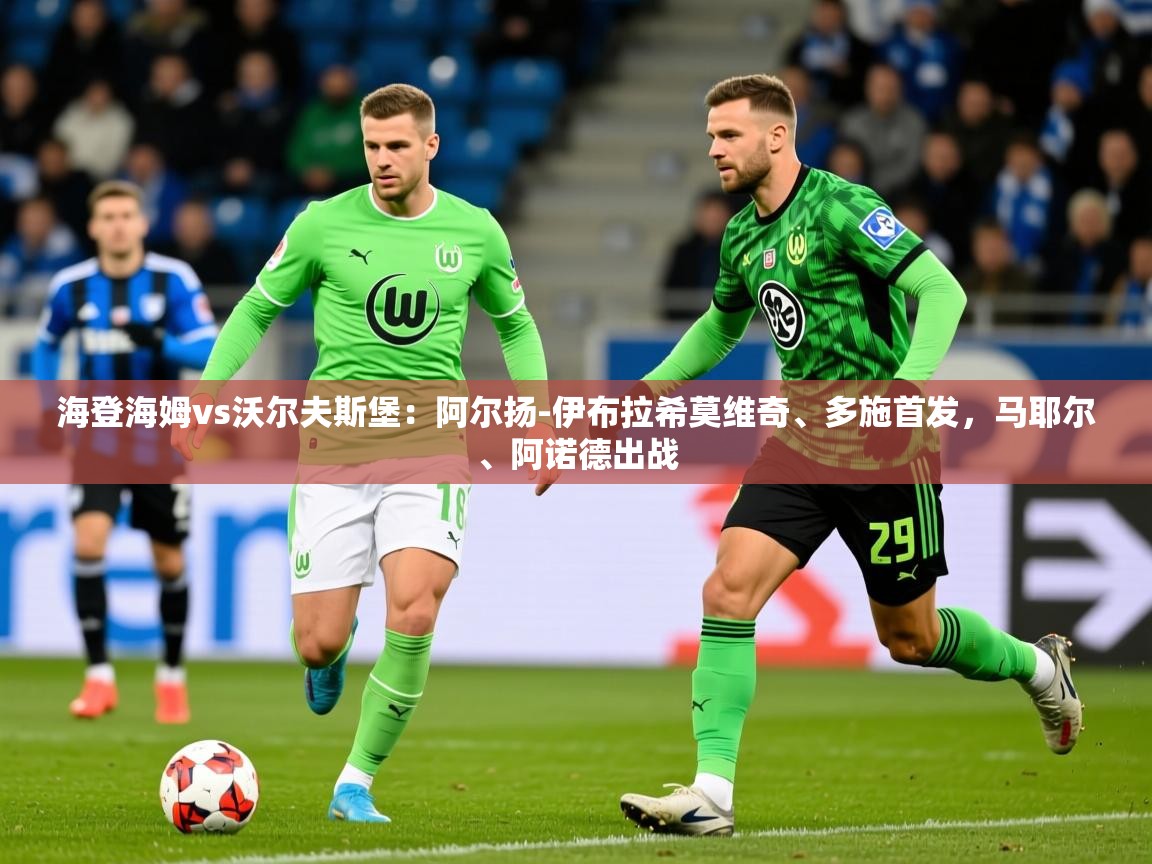 2025米兰体育电脑版官网海登海姆vs沃尔夫斯堡：阿尔扬-伊布拉希莫维奇、多施首发，马耶尔、阿诺德出战