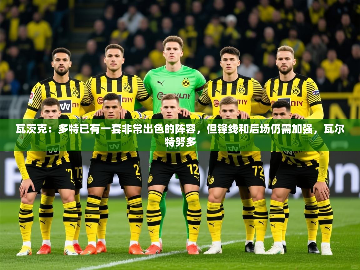 2025米兰体育瓦茨克：多特已有一套非常出色的阵容，但锋线和后场仍需加强，瓦尔特努多